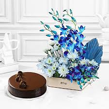 Mystic Orchids N Cake Combo